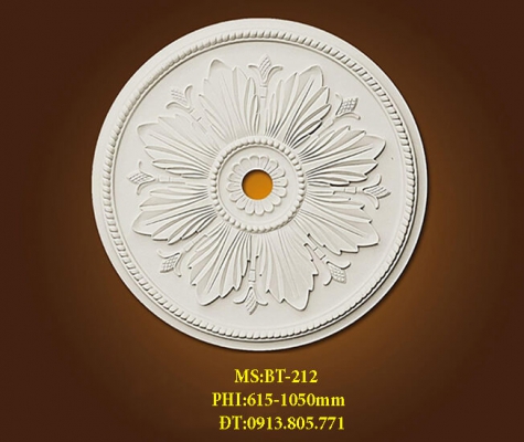 Thạch cao | NHÀ THẦU ĐẮP CHỈ XI MĂNG NHÀ PHỐ, BIỆT THỰ, LÂU ĐÀI DINH THỰ TẠI TPHCM